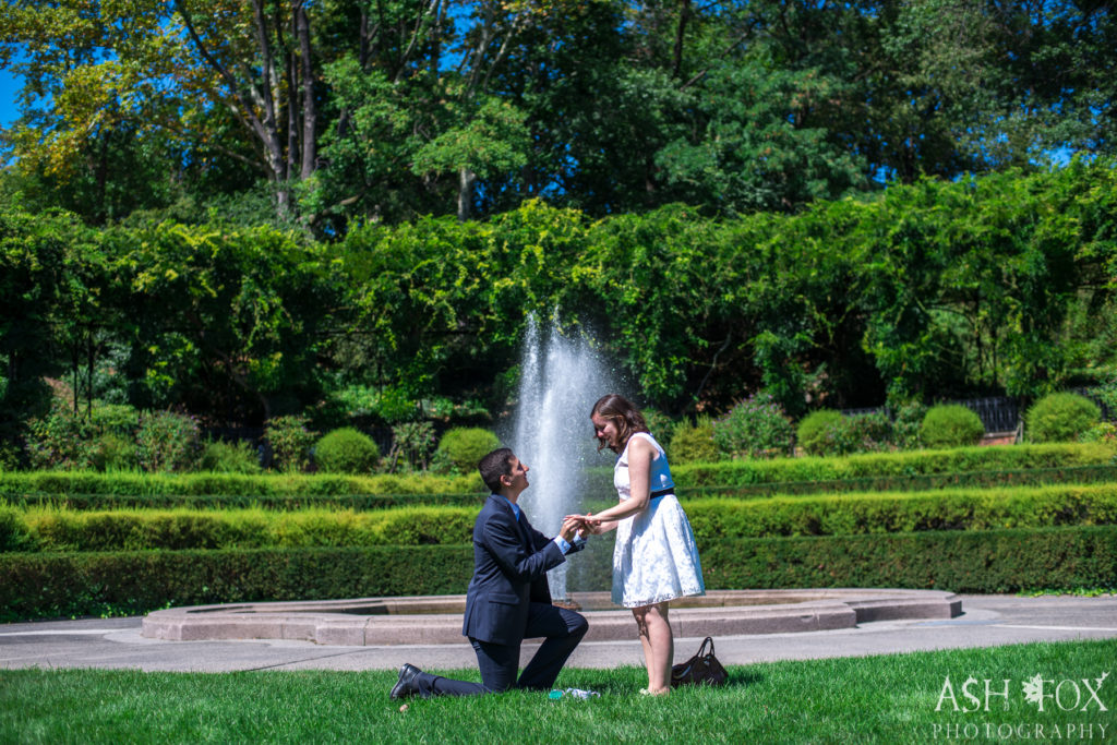 marriage_proposal_conservatory_gardens