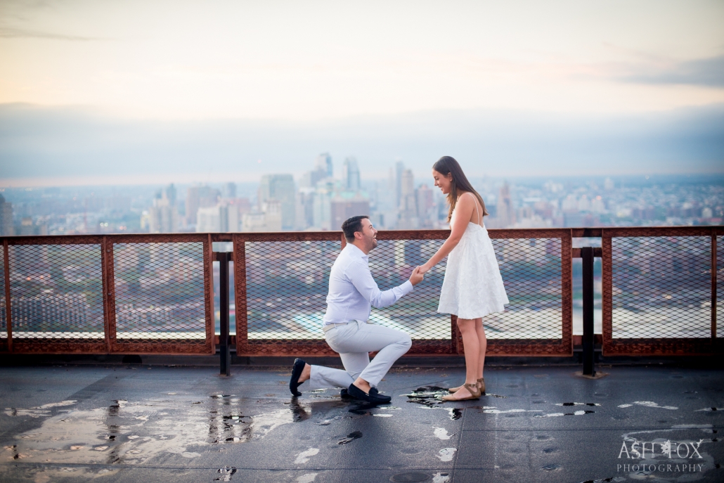 nyc rooftop proposal