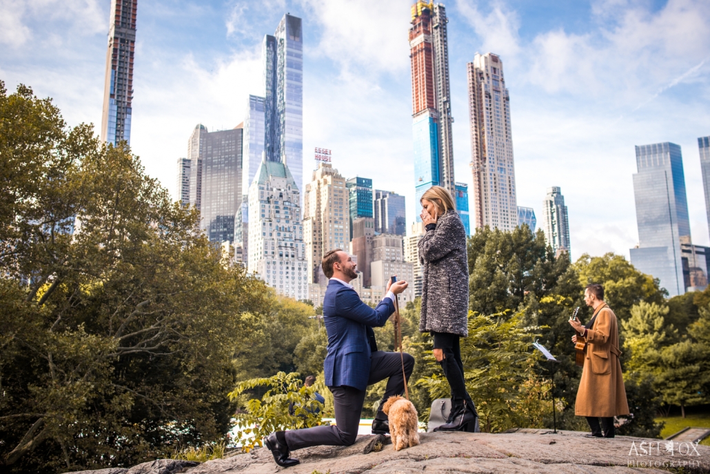 central park proposal with musician